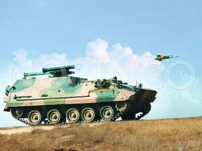 最新国产武器爆料,揭秘最新国产武器震撼亮相